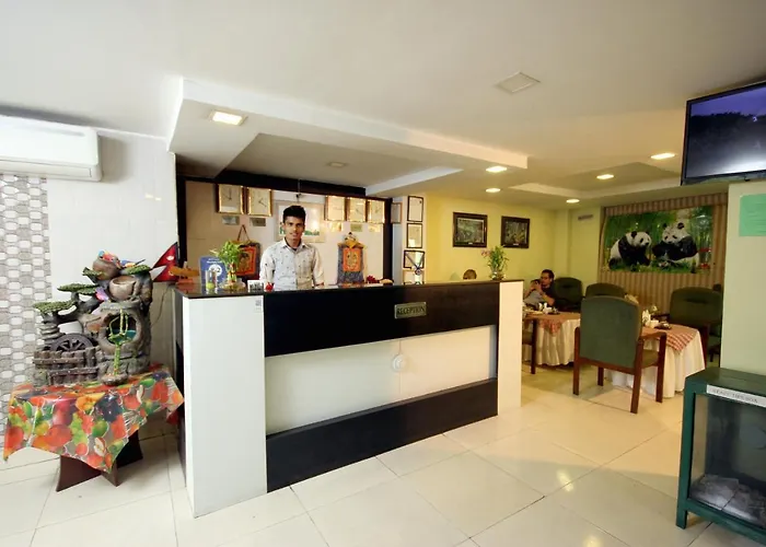 Hotel New Panda