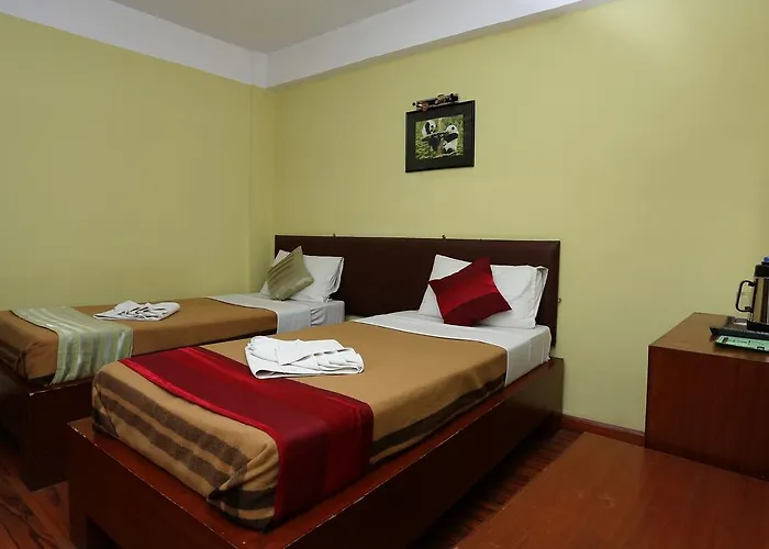 Hotel New Panda 3*